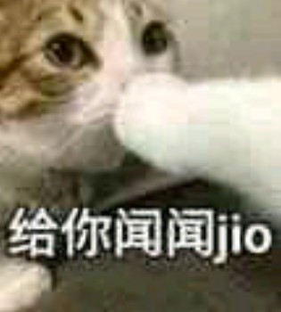 吸猫片表情包2-给你问问脚-