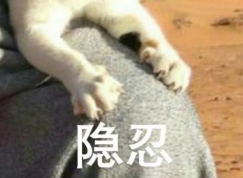 吸猫片表情包2-隐忍-
