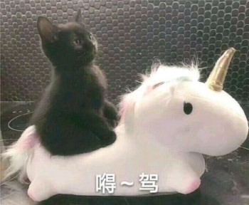 吸猫片表情包2-嘚驾-