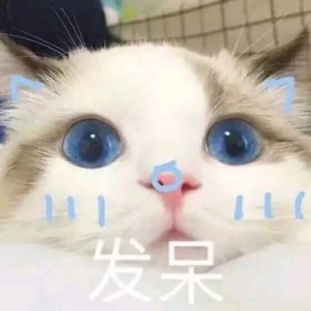 吸猫片表情包2-发呆-