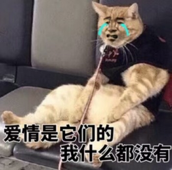 吸猫片表情包2-爱情是它们的 我什么都没有-