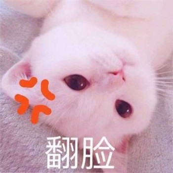 吸猫片表情包2-翻脸-