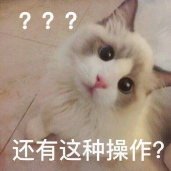 吸猫片表情包2-还有这种操作？-