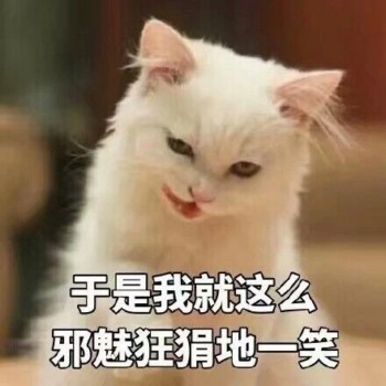 吸猫片表情包2-谢媒狂狷地一笑-