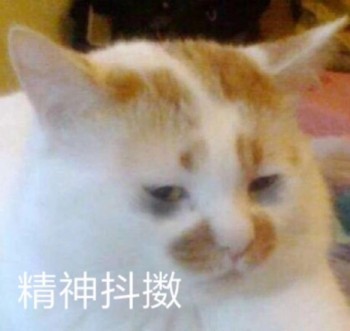 吸猫片表情包2-将神抖擞-