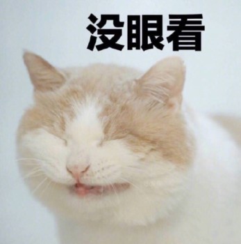 吸猫片表情包2-没眼看-