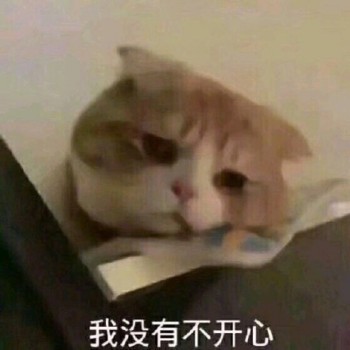 吸猫片表情包2-我没有不开心-