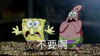 海绵宝宝表情包-不要啊