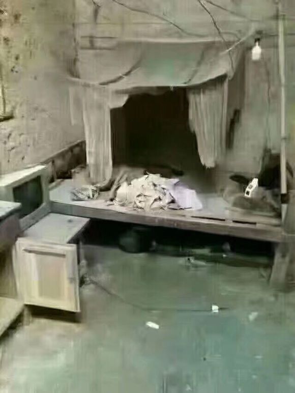 搬砖图16