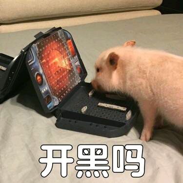 可爱小猪表情包-开黑吗-