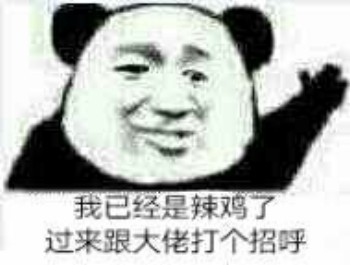 我已经是辣鸡了 过来跟大佬打招呼