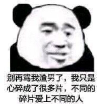 别再骂我渣男了 我只心碎成了很多片 不同的碎片爱上不同的人