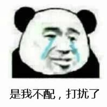 是我不配 打扰了-