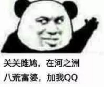 关关雎鸠，在河之洲，八荒富婆，加我qq-