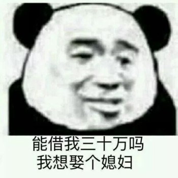 能借我三十万吗 我想娶个媳妇-