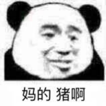 妈的 猪啊-