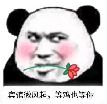 宾馆微风起，等鸡也等你-
