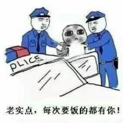 要饭表情包-老实点 每次要饭都有你-