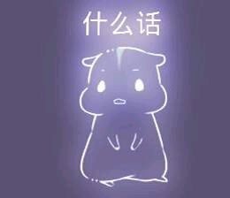彩色荧光仓鼠表情包-第10张