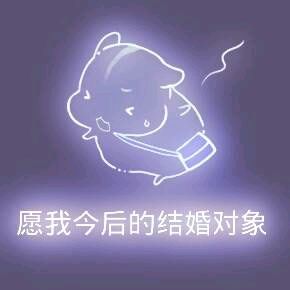 彩色荧光仓鼠表情包-第11张