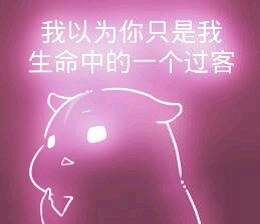彩色荧光仓鼠表情包-第15张