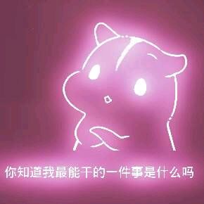 彩色荧光仓鼠表情包-第19张