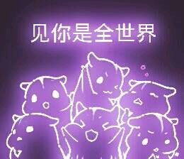 彩色荧光仓鼠表情包-第22张