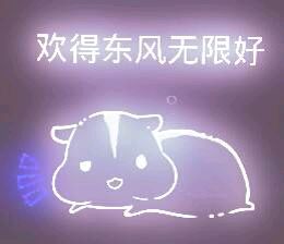 彩色荧光仓鼠表情包-第29张
