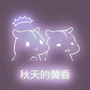 彩色荧光仓鼠表情包-第36张