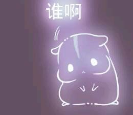 彩色荧光仓鼠表情包-第24张