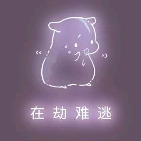 彩色荧光仓鼠表情包-第38张