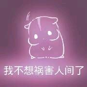 彩色荧光仓鼠表情包-第39张