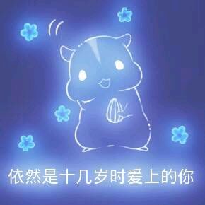 彩色荧光仓鼠表情包-第41张-