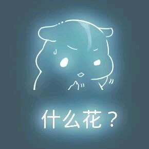 彩色荧光仓鼠表情包-第42张-
