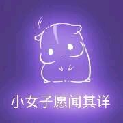 彩色荧光仓鼠表情包-第45张-