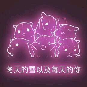 彩色荧光仓鼠表情包-第44张-