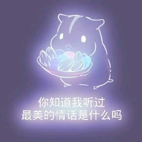 彩色荧光仓鼠表情包-第48张-