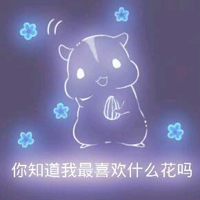 彩色荧光仓鼠表情包-第53张-