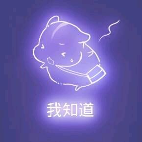 彩色荧光仓鼠表情包-第55张-