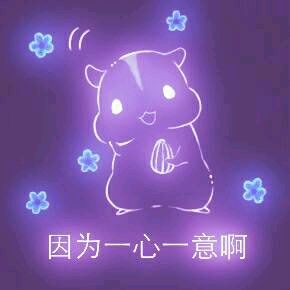 彩色荧光仓鼠表情包-第64张-