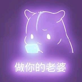 彩色荧光仓鼠表情包-第63张-