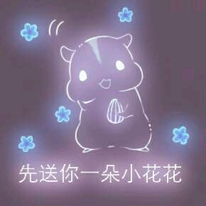 彩色荧光仓鼠表情包-第67张-