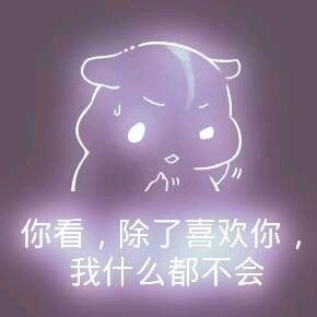 彩色荧光仓鼠表情包-第69张-