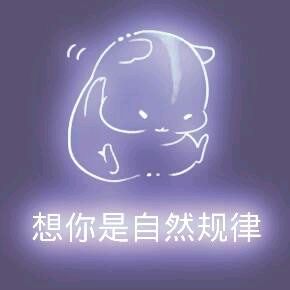 彩色荧光仓鼠表情包-第78张-