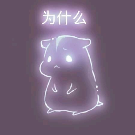 彩色荧光仓鼠表情包-第81张-