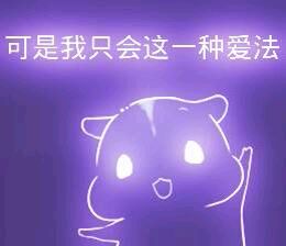 彩色荧光仓鼠表情包-第87张-