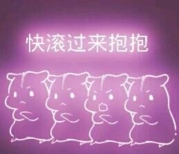 彩色荧光仓鼠表情包-第96张-