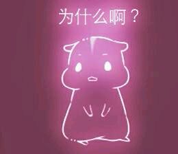 彩色荧光仓鼠表情包-第102张-