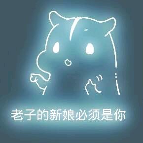 彩色荧光仓鼠表情包-第103张-