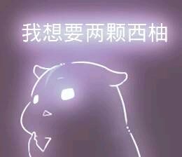 彩色荧光仓鼠表情包-第106张-